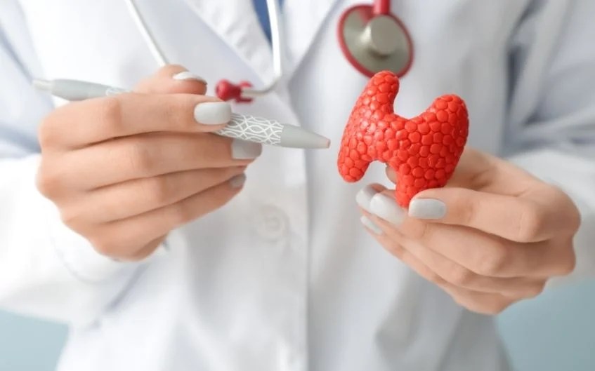 10 Best Endocrinologists in the State of Maryland KnowlesWellness