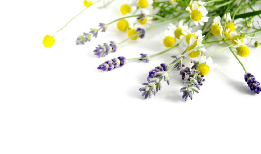 8 Best Herbal Remedies for Anxiety and Depression KnowlesWellness