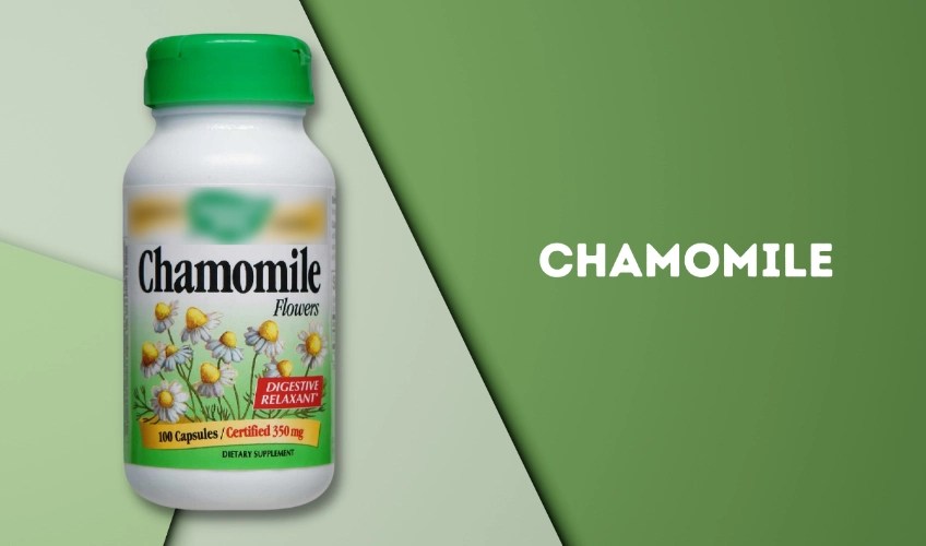 10 Best Sleeping Pills Over The Counter KnowlesWellness