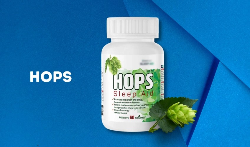 10 Best Sleeping Pills Over The Counter KnowlesWellness