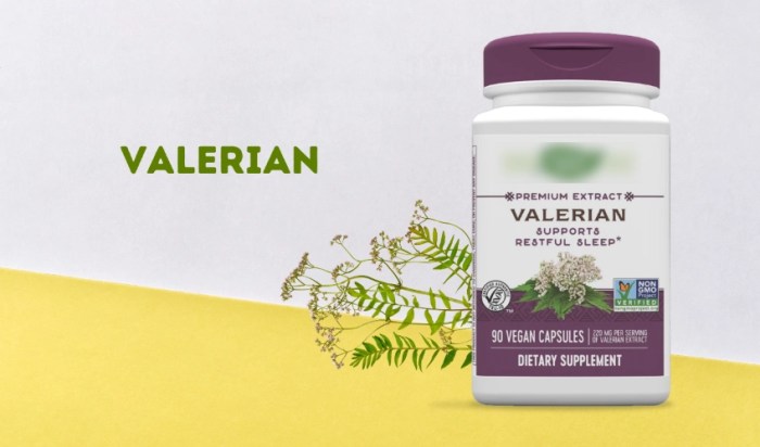 10 Best Sleeping Pills Over The Counter | KnowlesWellness 10 Best Sleeping Pills Over The Counter | KnowlesWellness