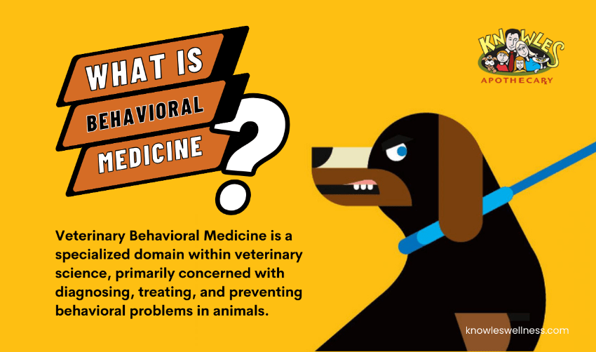 Rising Field of Veterinary Behavioral Medicine Knowles Wellness