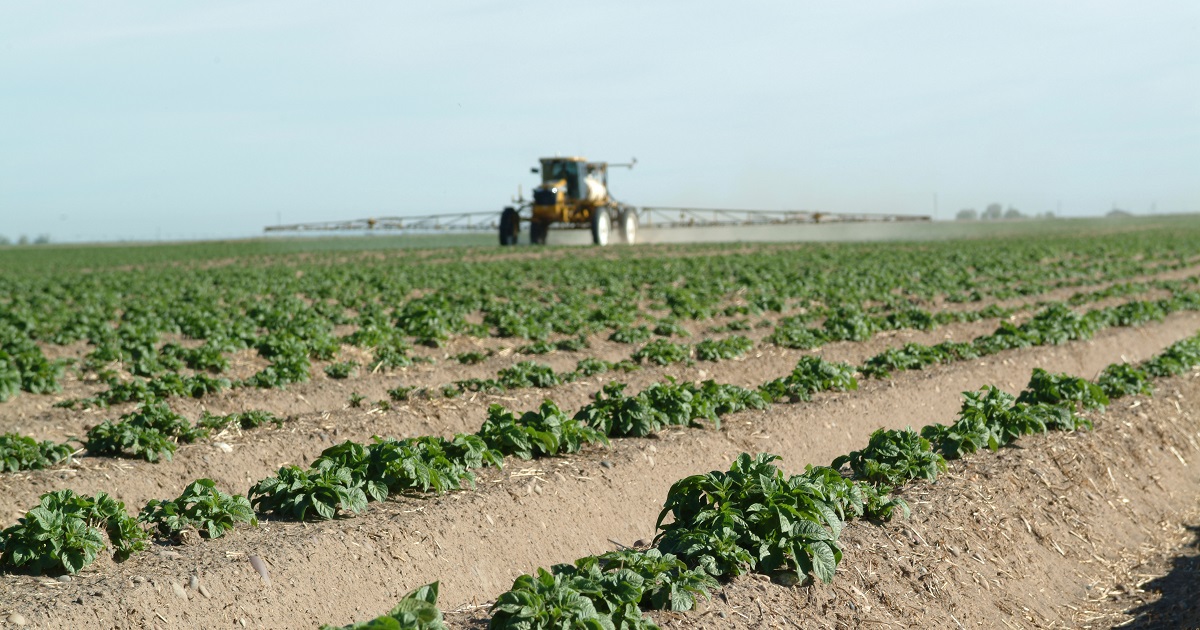 BeSure! to Apply Foliar Crop Protection Products Safely Syngenta