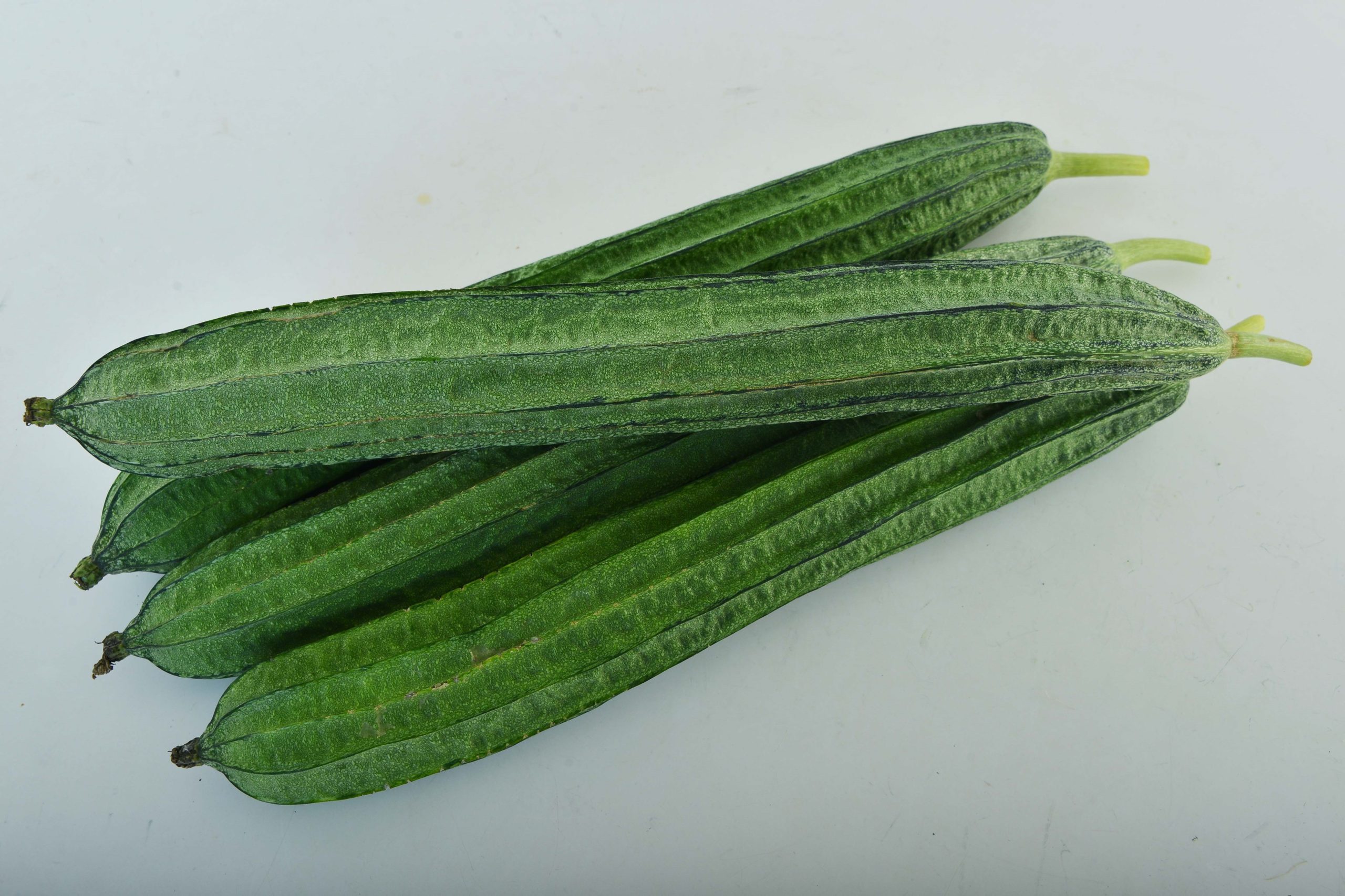 Sponge Gourd F1031918 Knownyou Seed America