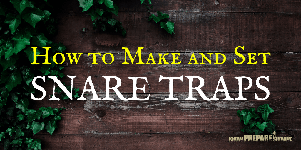 How to Make and Set Snare Traps Step by Step Guides and Tips