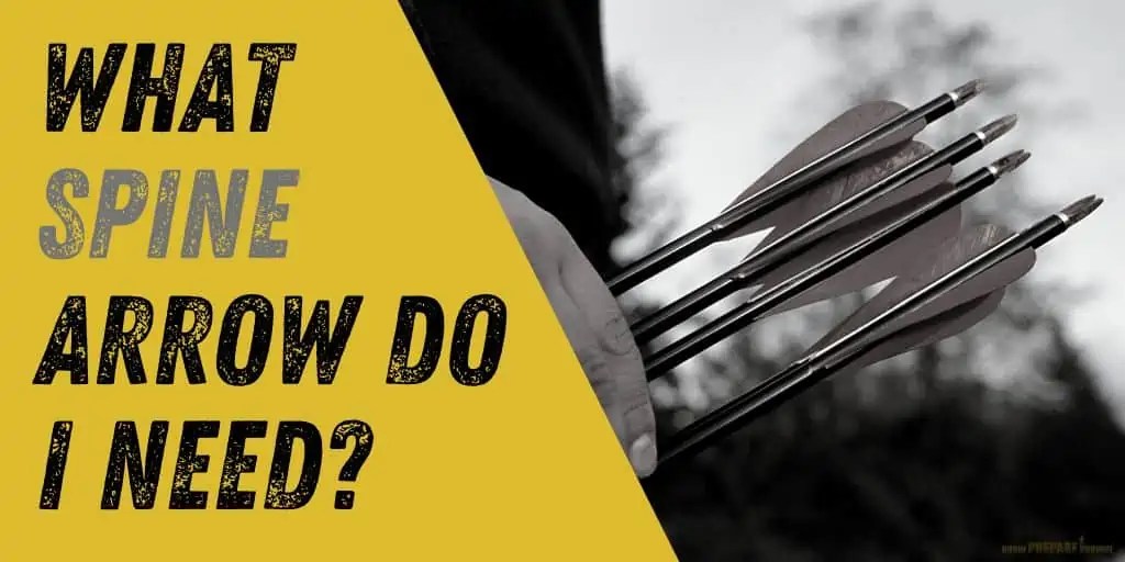 What Arrow Spine Do I Need? How to Choose the Perfect Arrow Stiffness