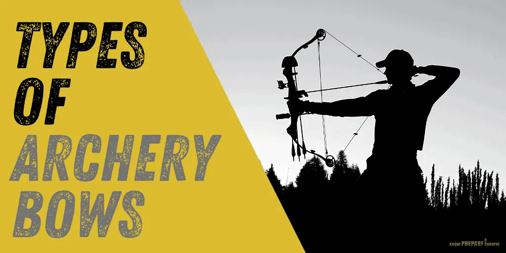 4 Different Types of Bows in Archery Pros, Cons, & History