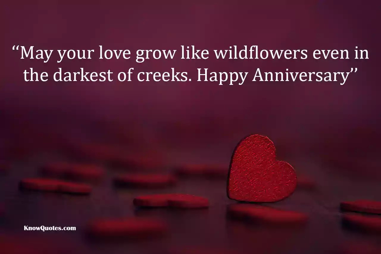Anniversary Quotes For Friends Knowquotes Com