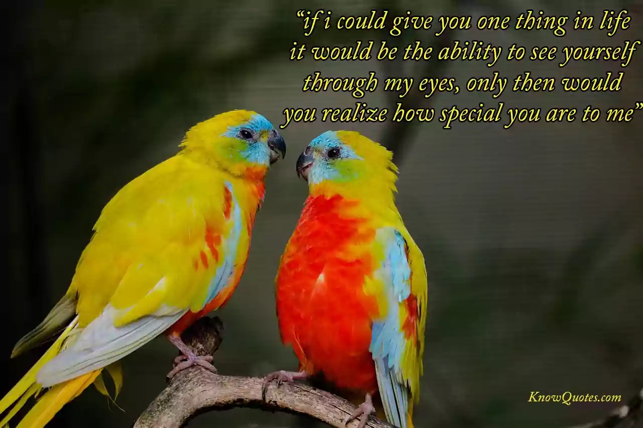 Love Birds Quotes Knowquotes Com