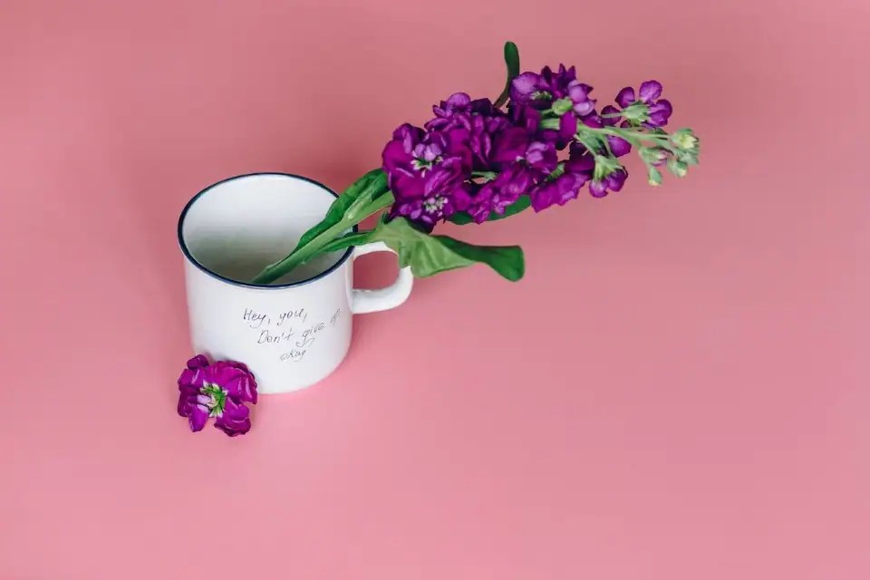 Unleashing The Power Of Inspirational Quote For Not Giving Up