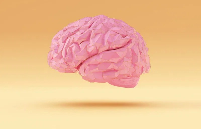 Scientists find brain markers for good memory function