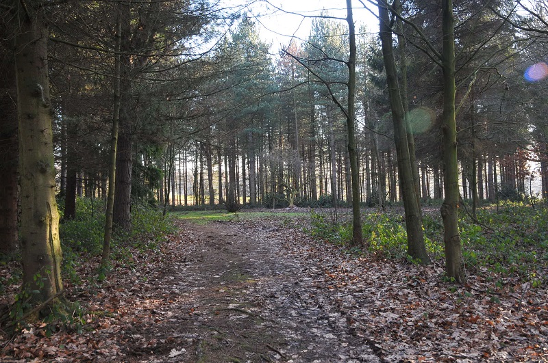 Estate Grounds Knowsley Hall