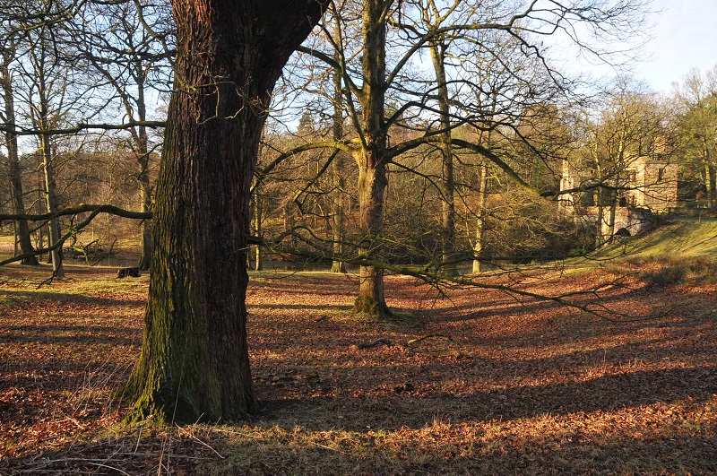 Estate Grounds Knowsley Hall