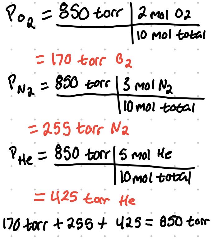Chapter 6 Gasses Notes Knowt