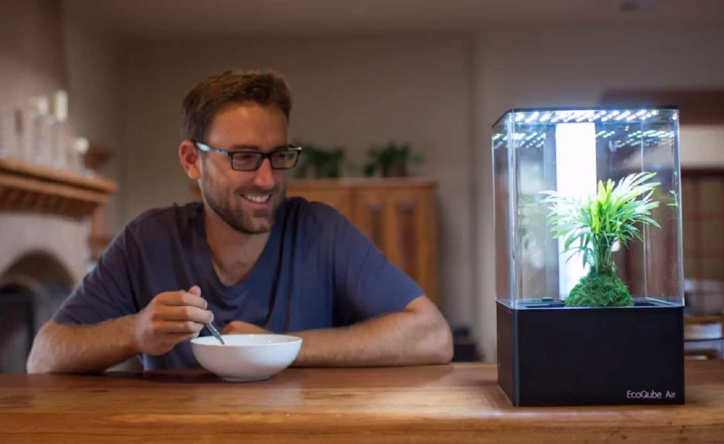 EcoQube Air uses plants to help clean your crusty ass apartment air