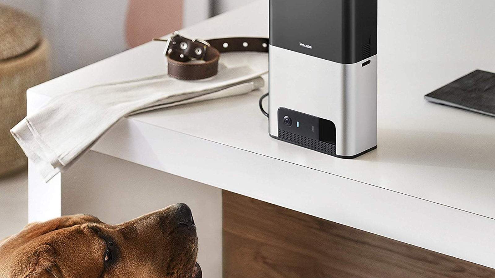 5 of the best pet gadgets that will make your life a whole lot easier