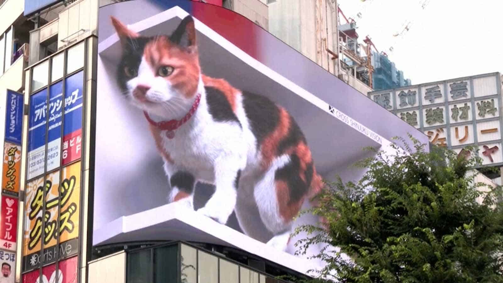 I would do anything for this digital billboard cat in Japan