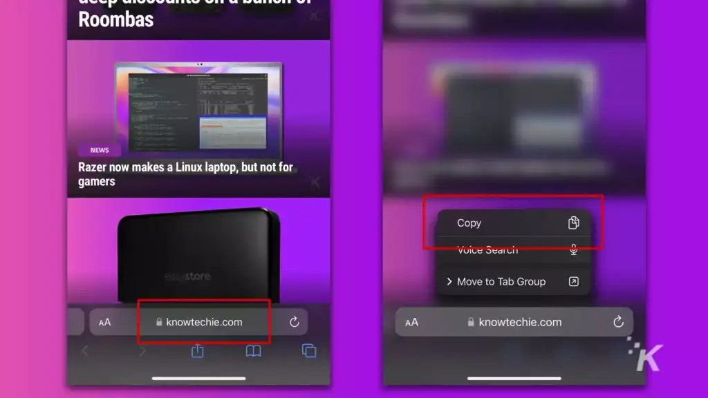 How to automatically show the full URL in Safari