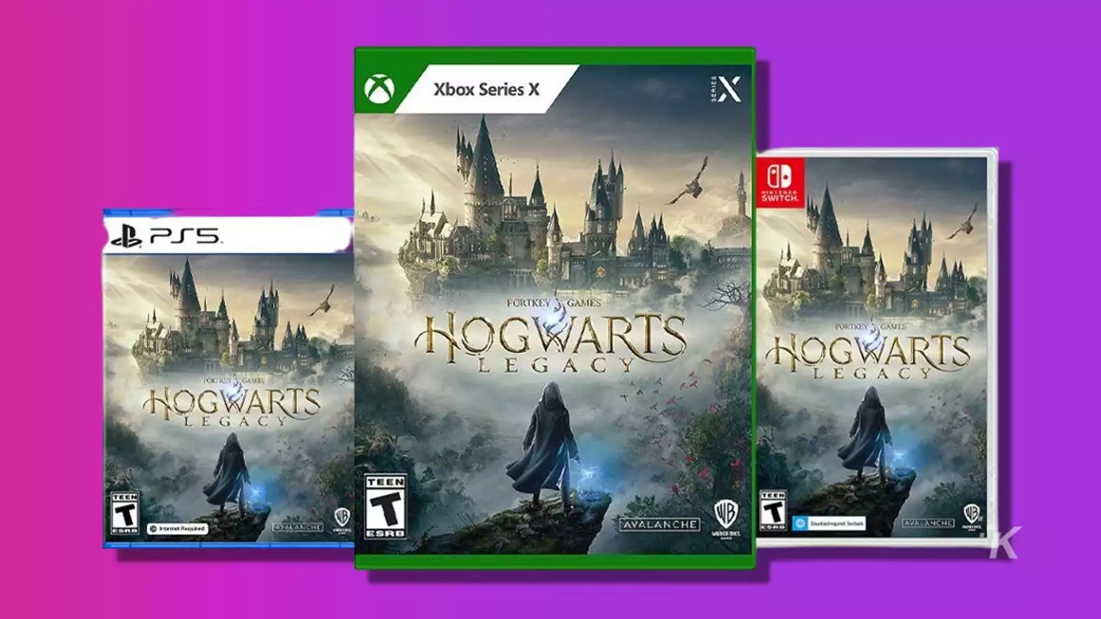 Preorder Hogwarts Legacy and save 10 from Best Buy KnowTechie