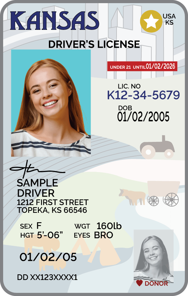 Home KnowTo Drive Online Driver's License Test