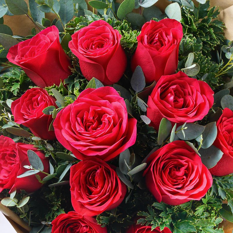 43 Beautiful Types of Red Flowers