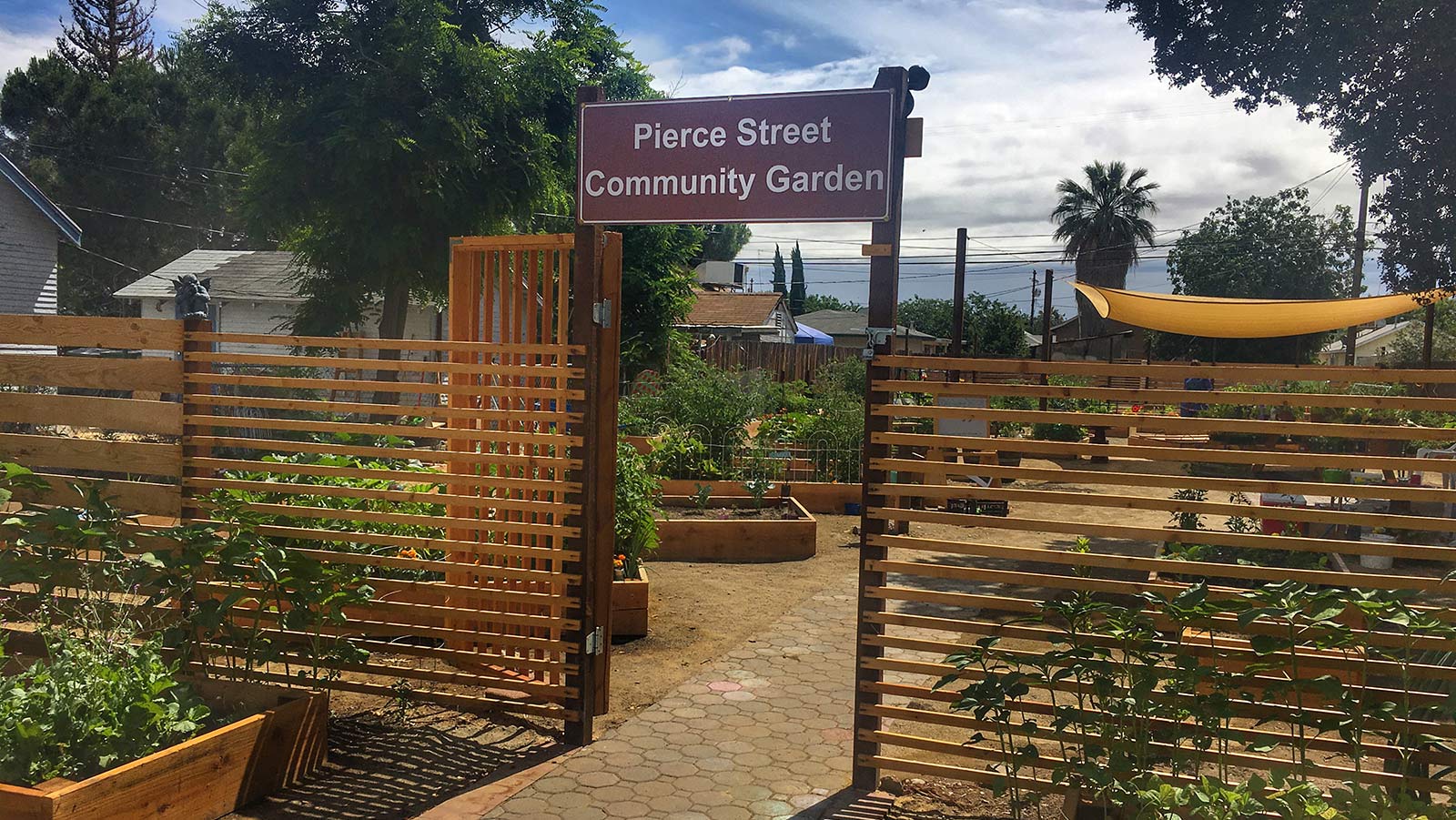 Community Garden Knox Bronson