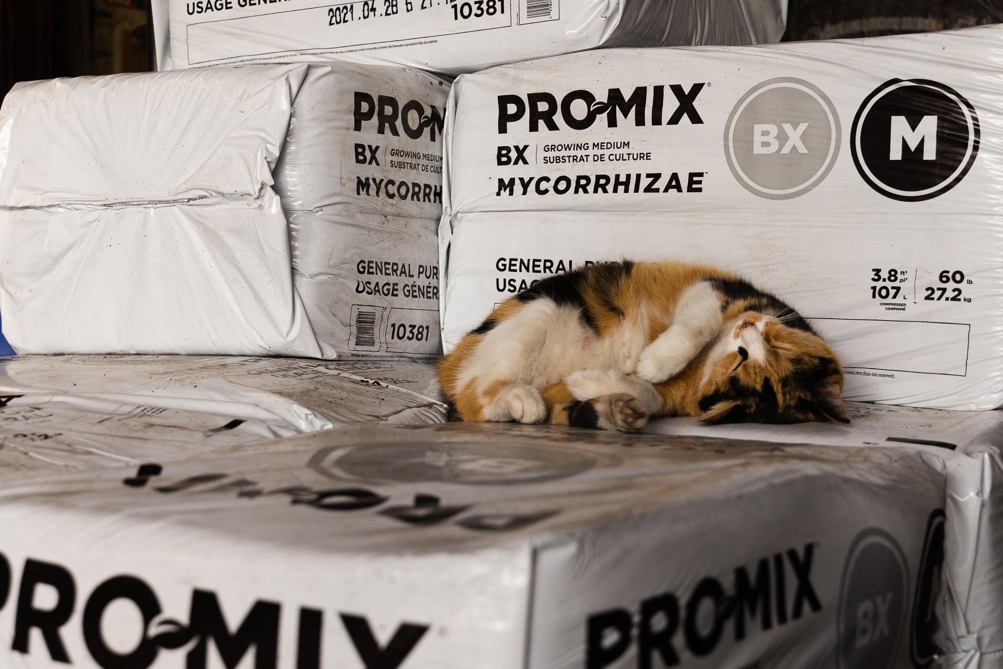 Location and Contact Knoxville Seed and Greenhouse in Knoxville, TN