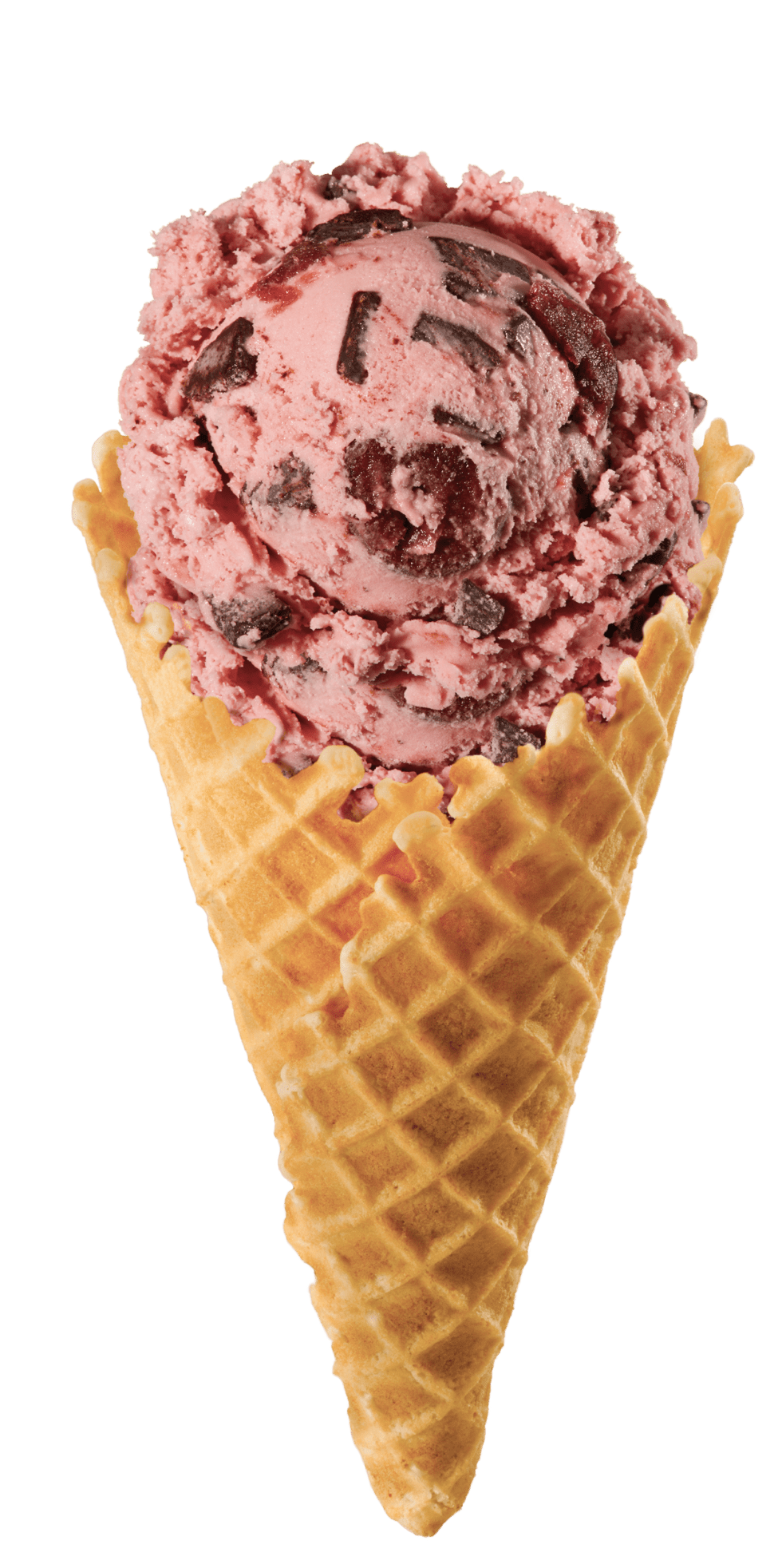 Ice Cream Places Near Knoxville Fresh Vanilla Ice Cream