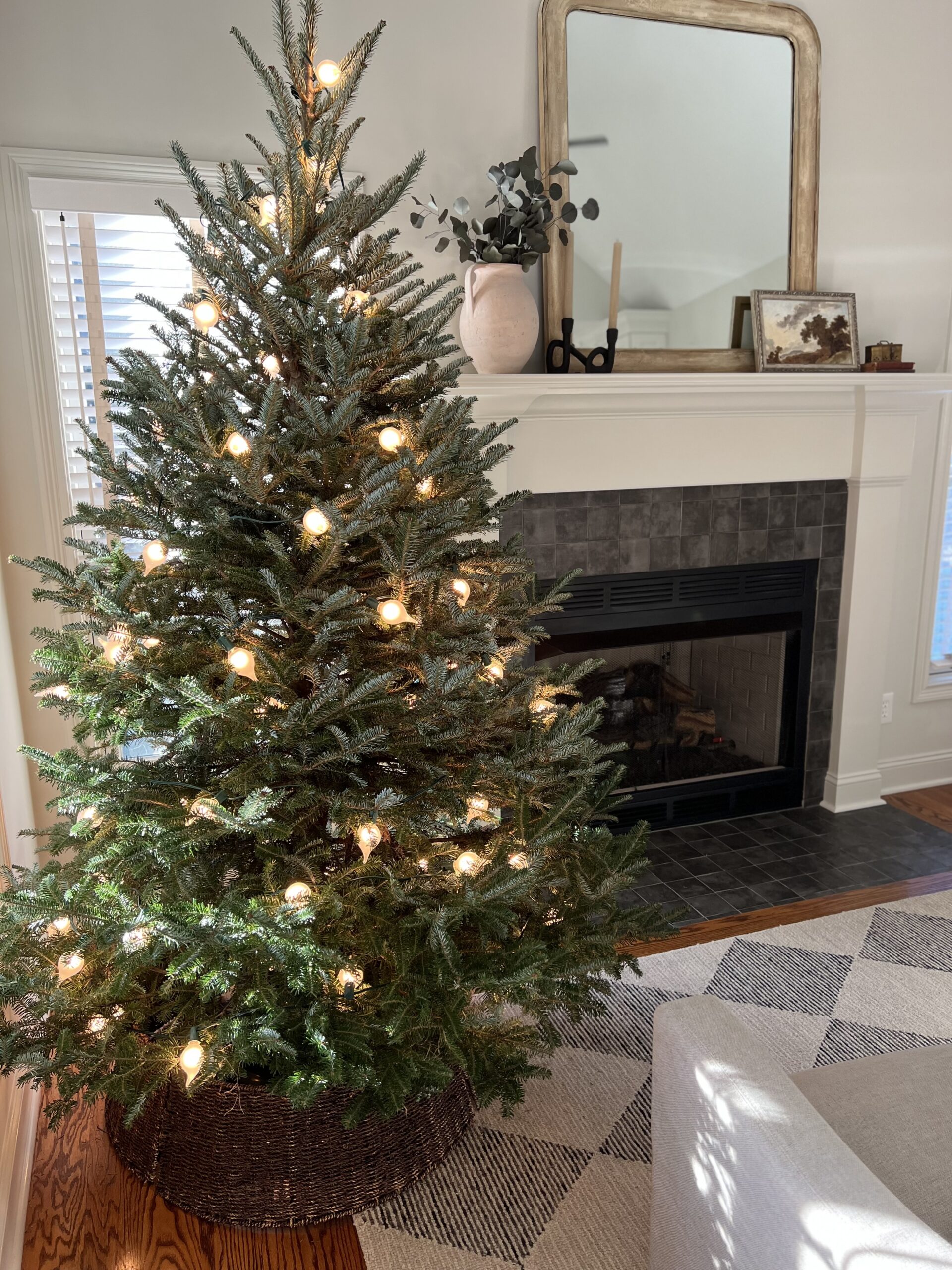 Creating Family Traditions with North Carolina Fraser Fir Christmas Trees