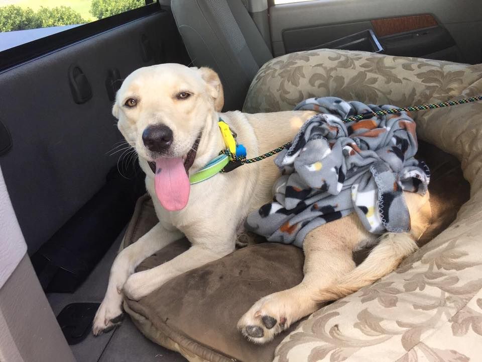 Home Continuous News Colorado Springs and