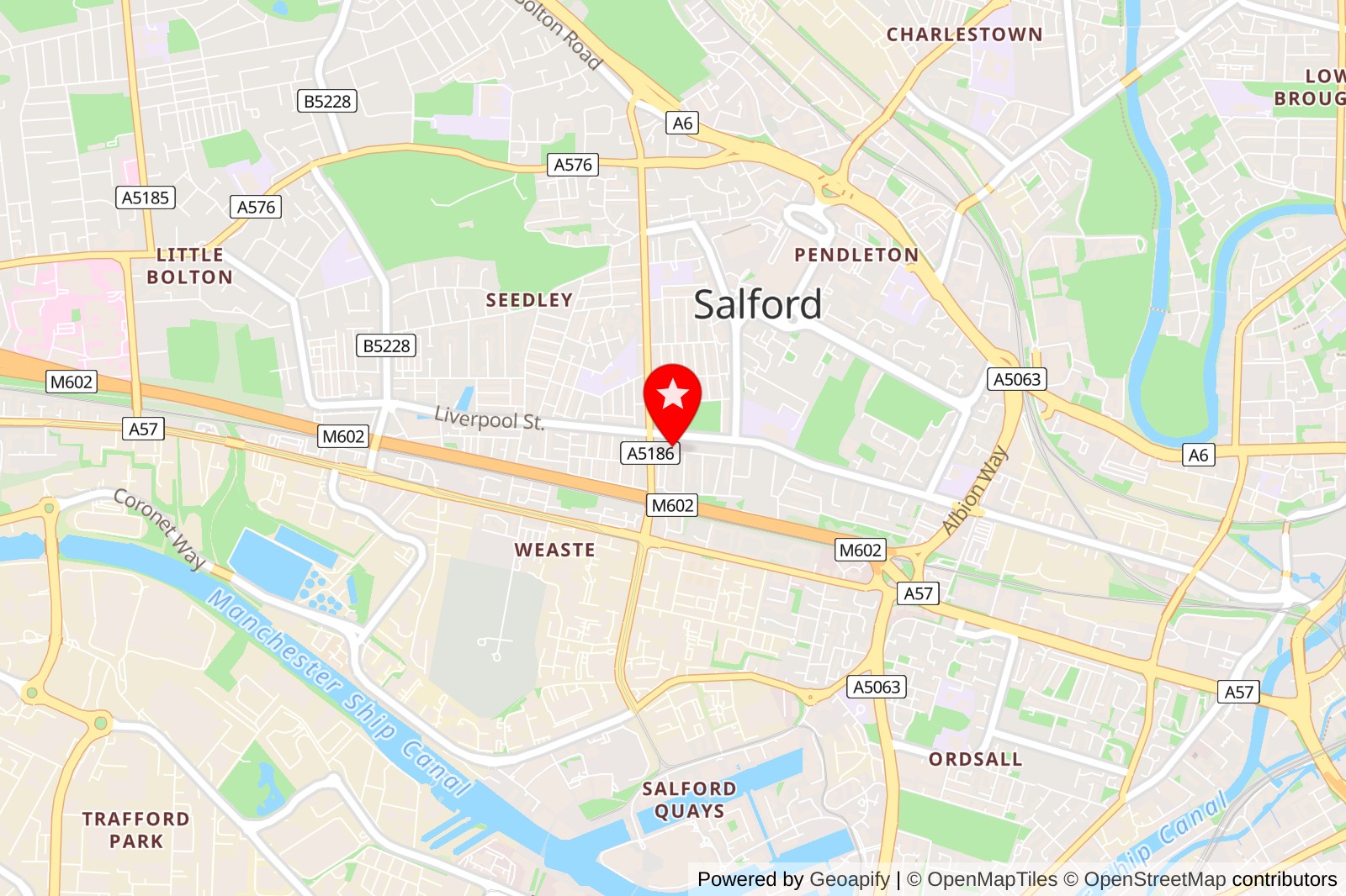 5 Best Pet Grooming Services in Salford for Happy, Healthy Pets