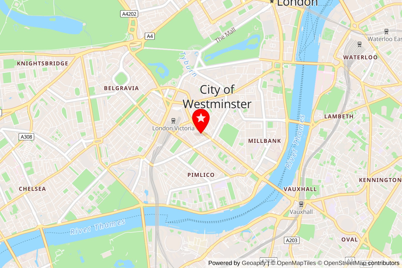 5 Best Cat Grooming Services in Westminster for Feline Pampering