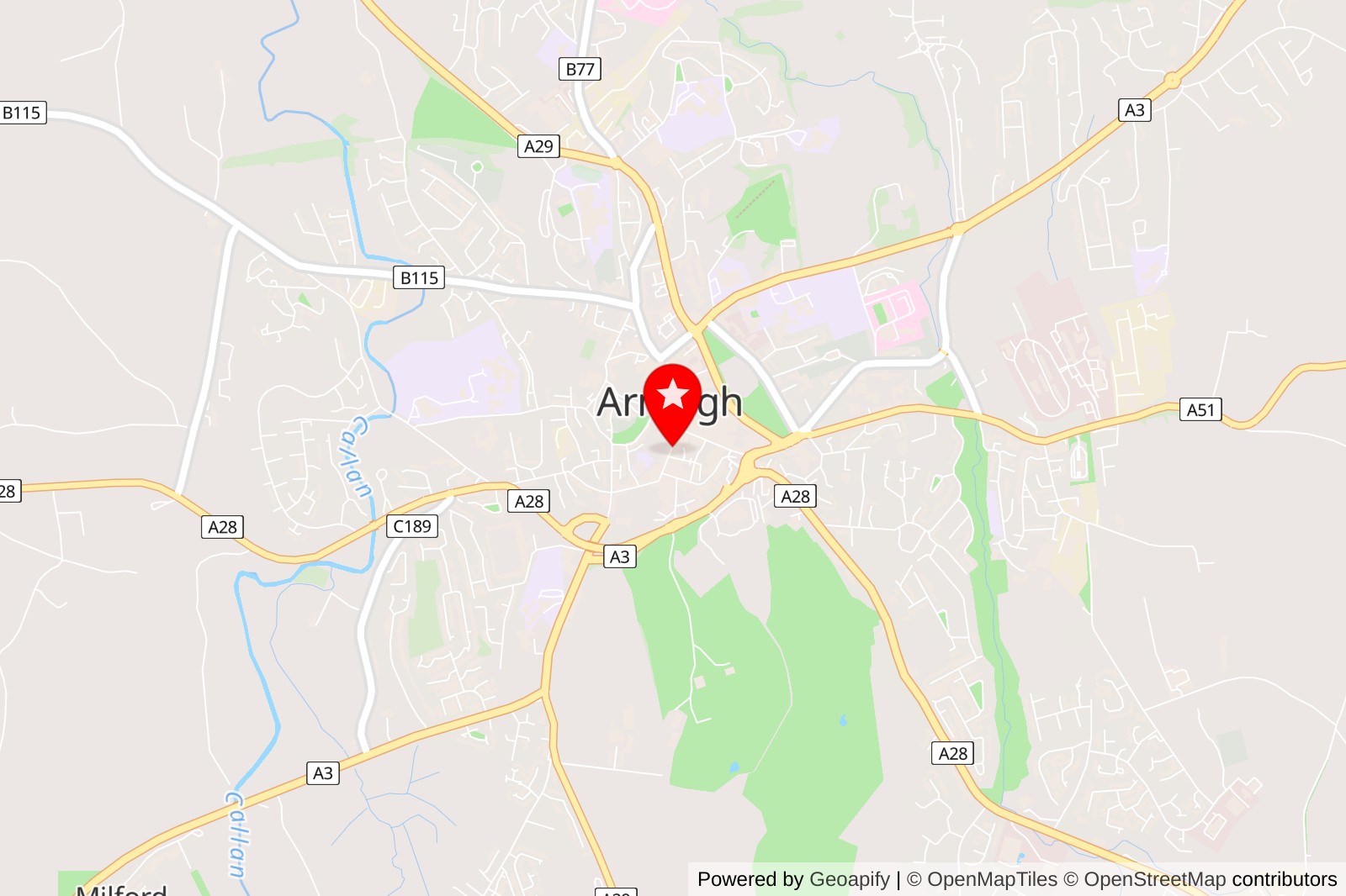 5 Best Cat Grooming Services in Armagh for Happy and Healthy Felines