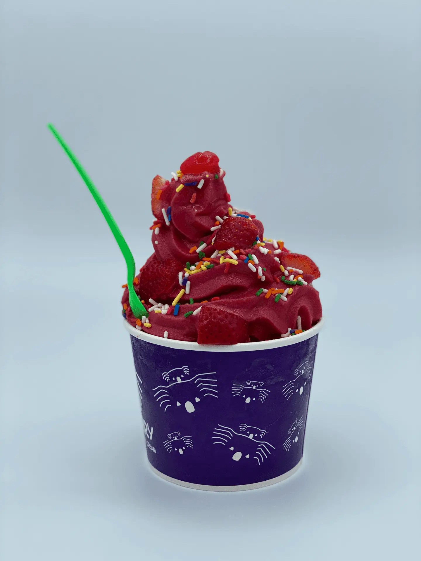 Koala Berry Premium Frozen Yogurt & Ice Cream.