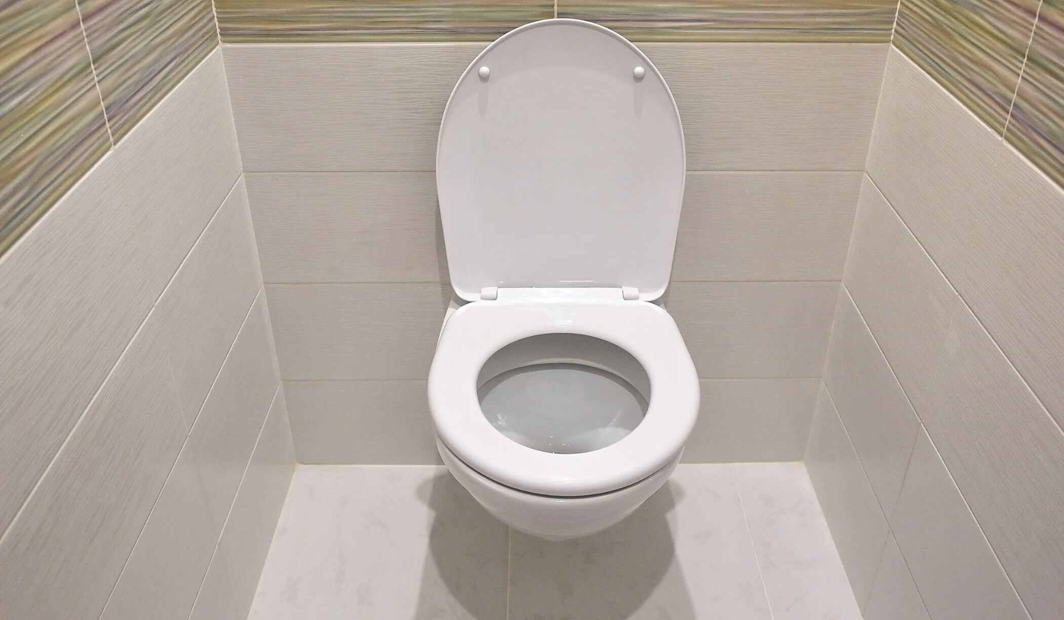 The Advantages and Disadvantages of Traditional and Tankless Toilets