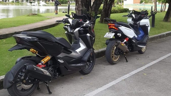 57Fotoninja rr cat bunglonNew
