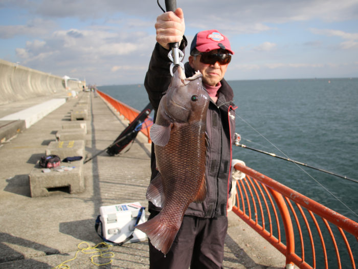 小物から大物まで狙える『神戸市立平磯海づり公園』で釣りを楽しむ。淡路島や明石海峡大橋を眺めながら ページ 3