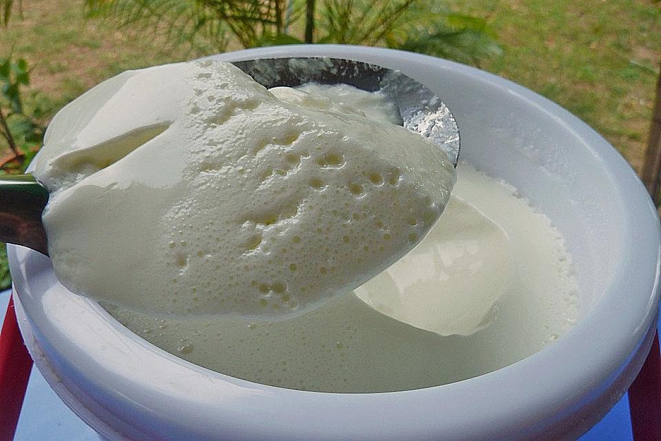 Griechisches Joghurt einfach selber machen, super sahnig ! Kochen Mit Uns