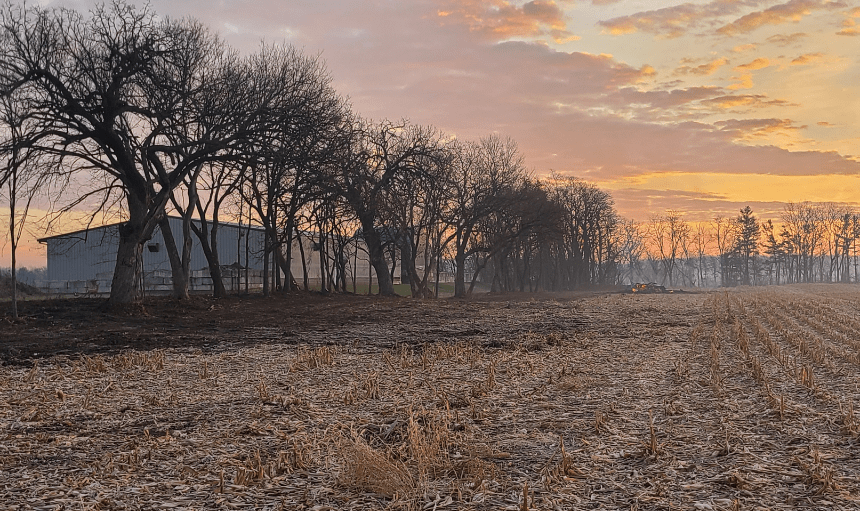 FENCE LINE CLEARING Koch Kuts