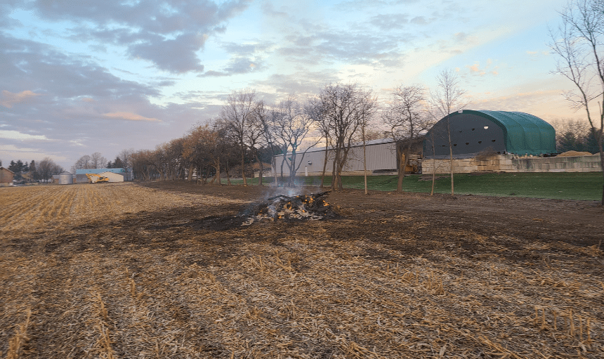 FENCE LINE CLEARING Koch Kuts