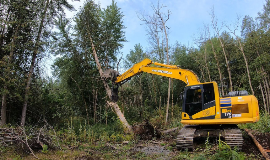 FENCE LINE CLEARING Koch Kuts