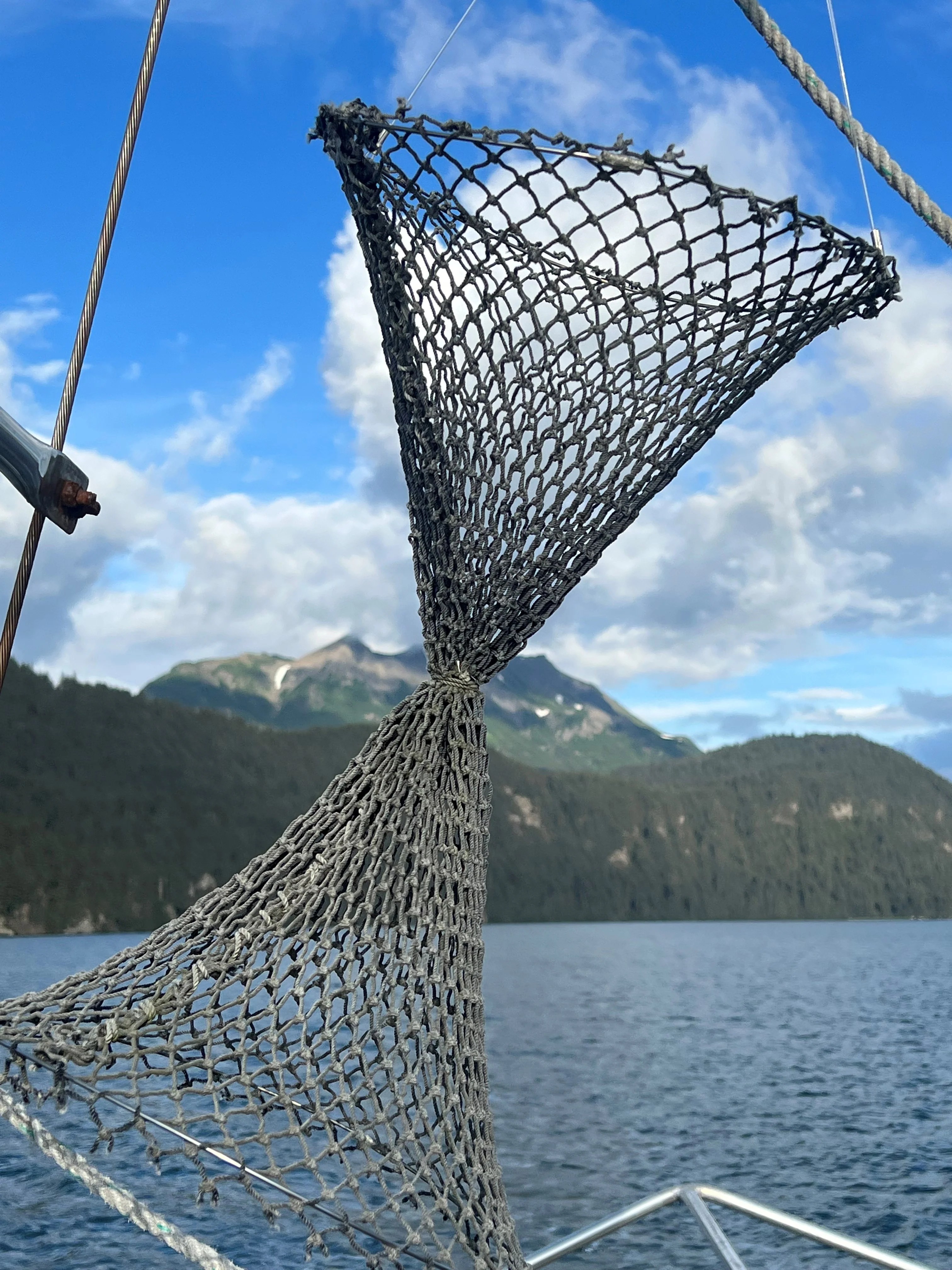 Titan Market Stall, Part 2 Kodiak Rush