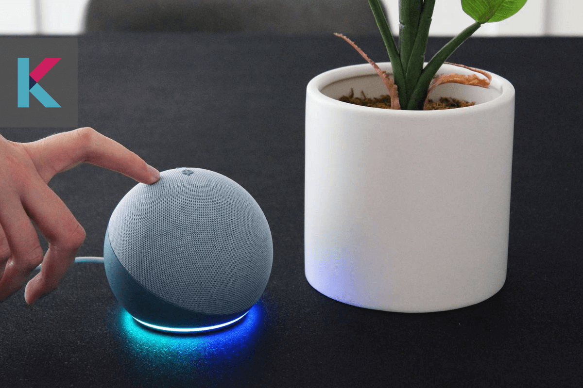 Alexa Echo Dot How to use it why do you need it?
