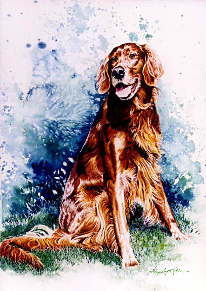Irish Setter Dog Portrait Painting