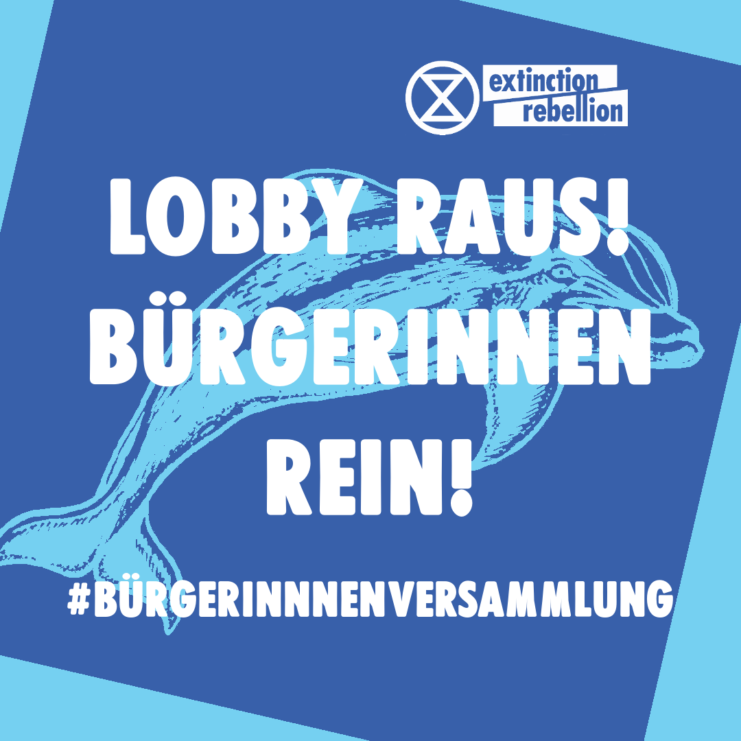 Lobby RAUS, Bürgerinnen REIN Aktion von Extinction Rebellion heute
