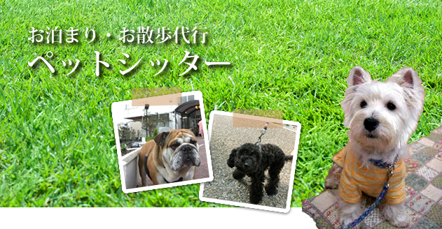 ペットシッター（犬のお泊り・散歩代行） 犬のトータルボディケア・古賀ランド {大阪・犬護舎式 腱のケア}