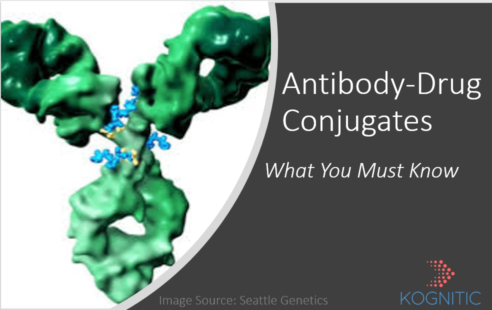 What you must know about ADCs Kognitic