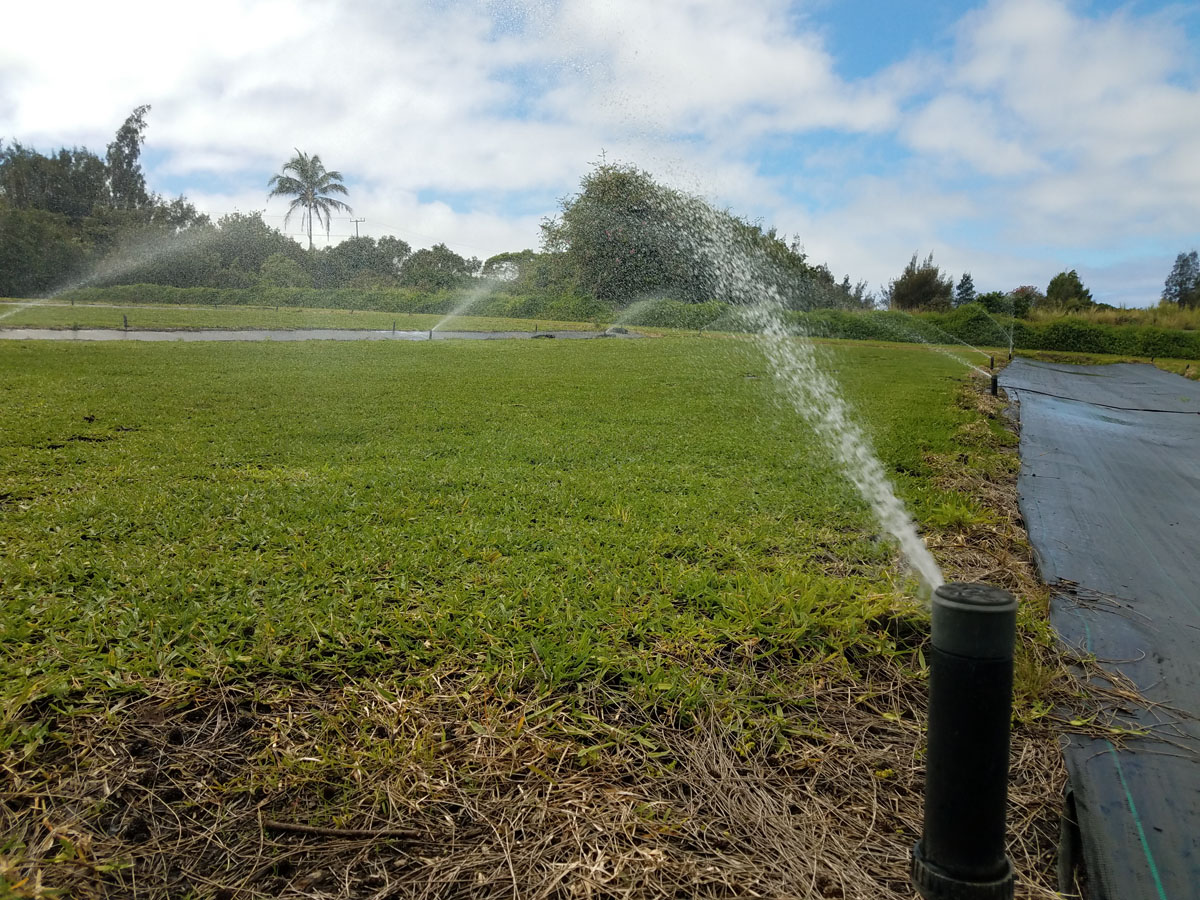 Kohala Agricultural Water Kohala Ditch Coop Nonpotable Water Service