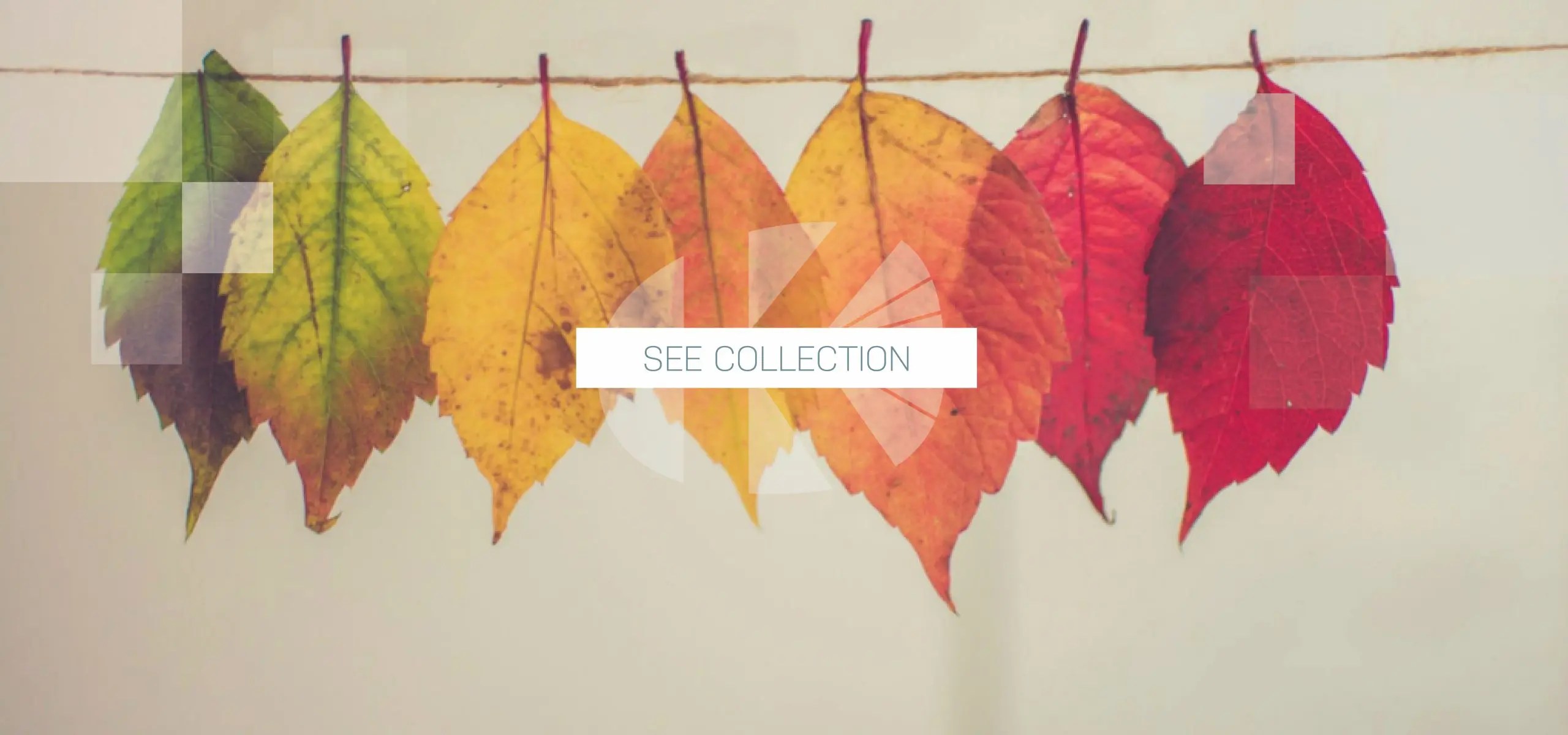 outdoor wallsconce collection Kohl Lighting