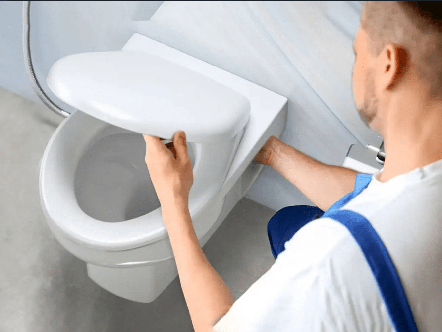 How to Choose the Right Toilet Seat A Guide to Comfort and Function